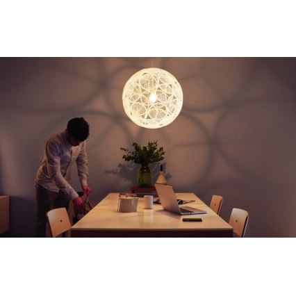 Philips - Luz de teto pendente E27/60W/230V