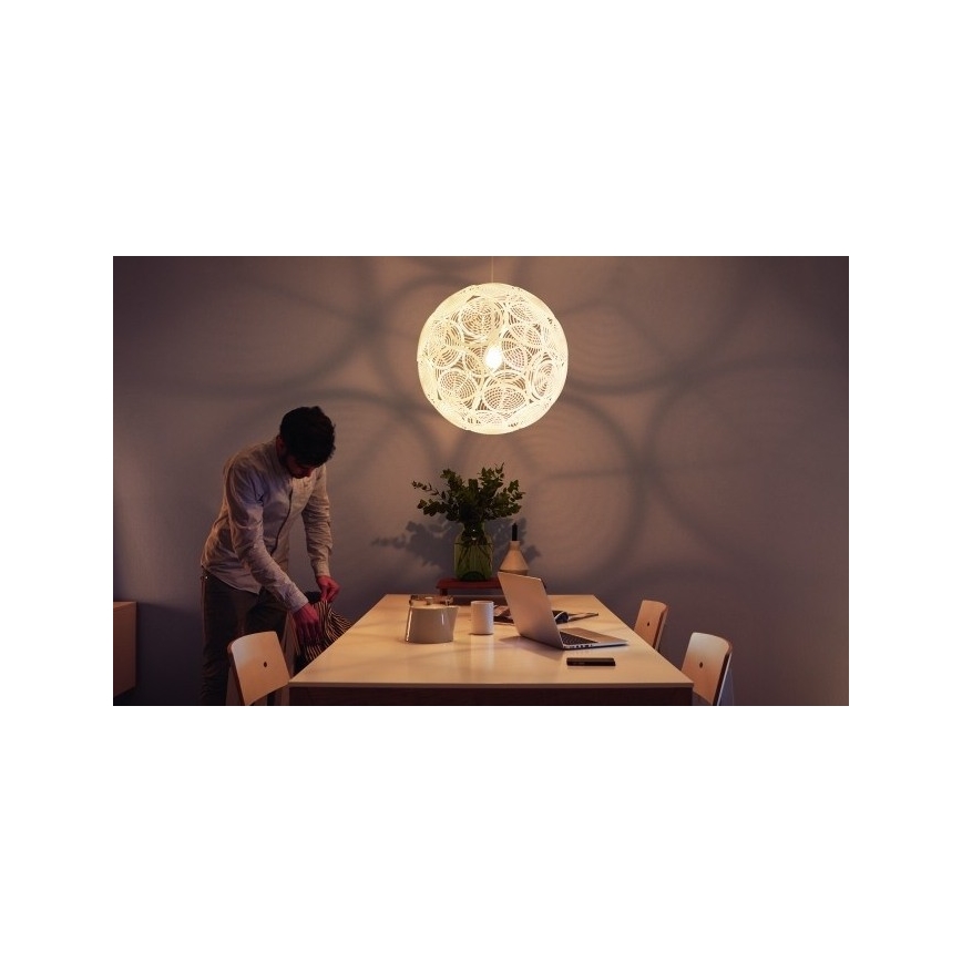 Philips - Luz de teto pendente E27/60W/230V