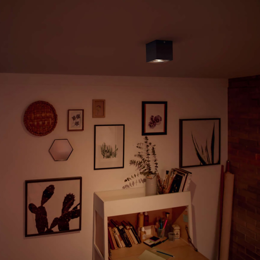Philips - Foco LED com regulação 1xLED/4,5W/230V