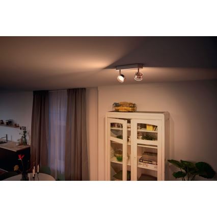 Philips - Foco LED com regulação 2xLED/4,5W/230V