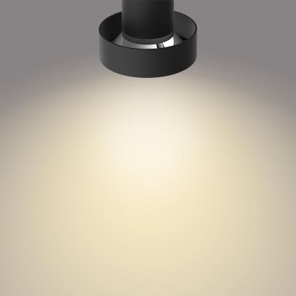 Philips 50602/30/P0 - Foco LED com regulação BUKKO 2xLED/4,5W/230V