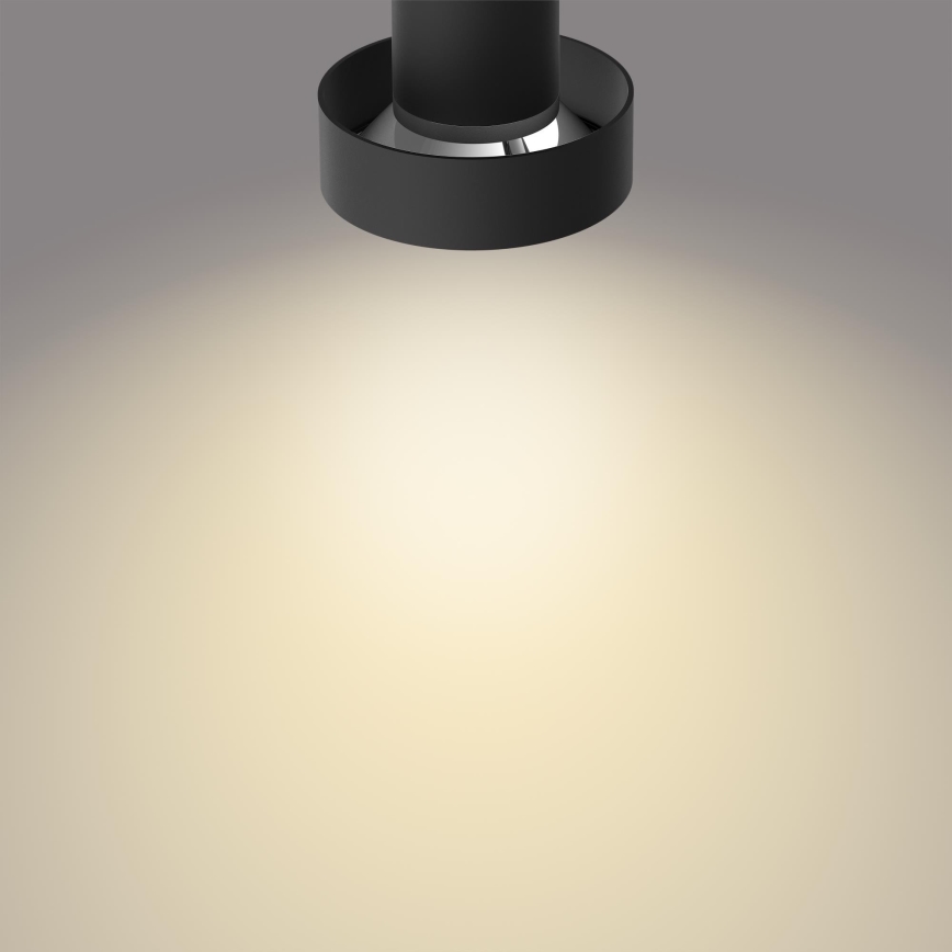 Philips 50602/30/P0 - Foco LED com regulação BUKKO 2xLED/4,5W/230V