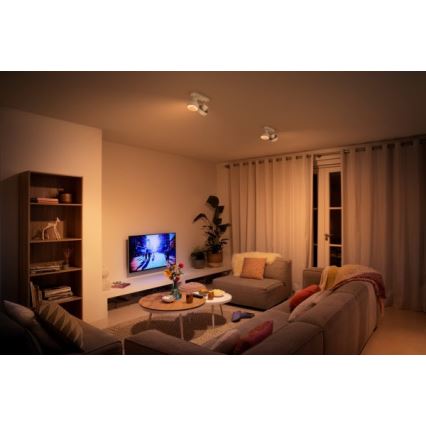 Philips 50602/31/P0 - Foco LED BUKKO 2xLED/4,5W/230V
