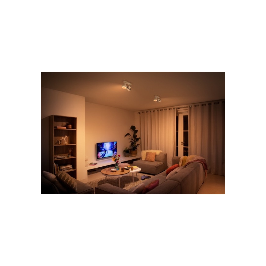Philips 50602/31/P0 - Foco LED BUKKO 2xLED/4,5W/230V