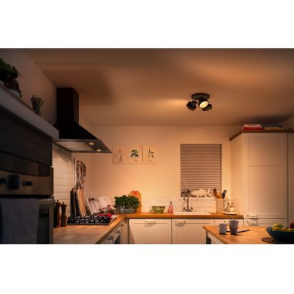 Philips 50603/30/P0 - Foco LED com regulação BUKKO 3xLED/4,3W/230V