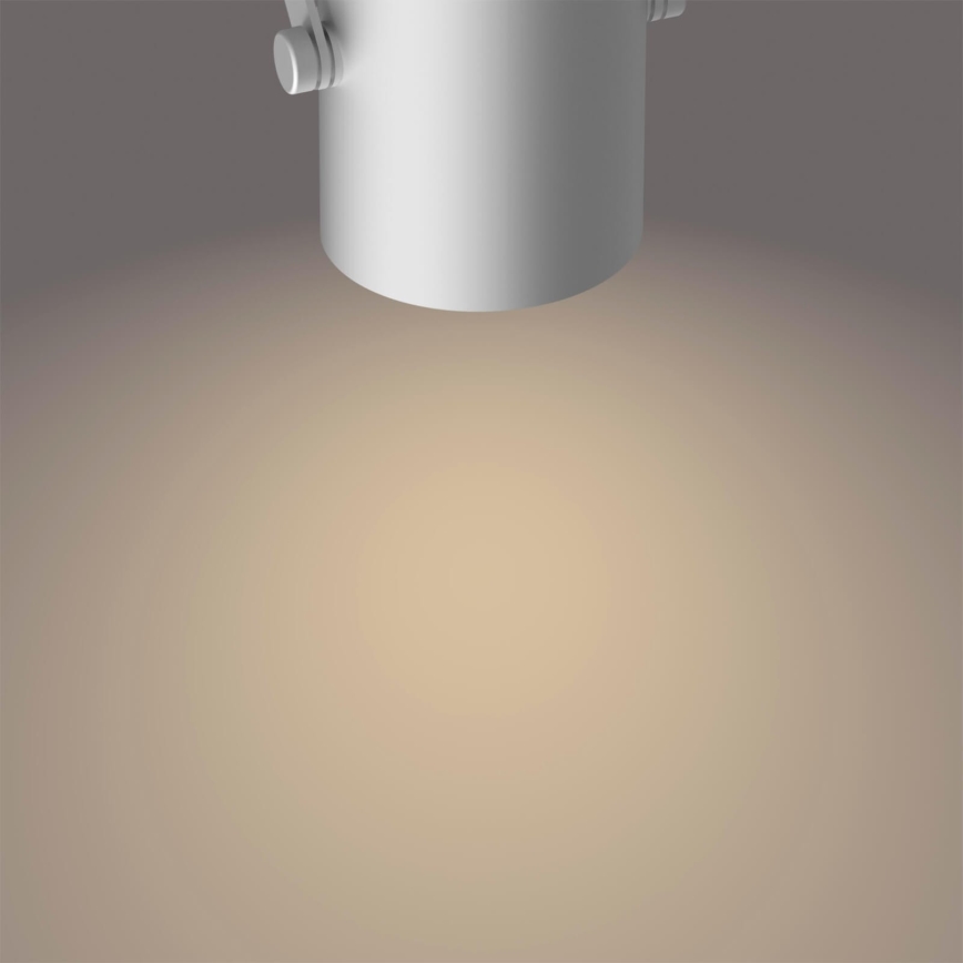 Philips 50662/14/P0 - Luminária de teto LED BYRE 2xLED/4,3W/230V 2200/2500/2700K