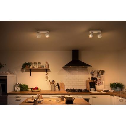 Philips - Luminária de embutir LED regulável 2xLED/4,5W/230V