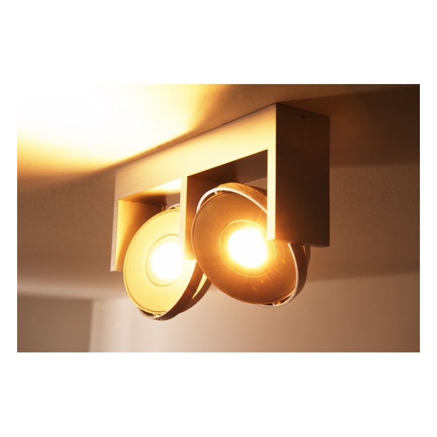 Philips 53152/48/16 - Foco LED PARTICON 2xLED/7,5W