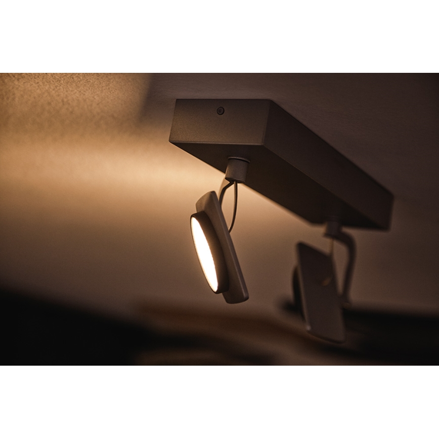 Philips 53192/48/P0 - Foco LED MILLENNIUM 2xLED/4,5W/230V