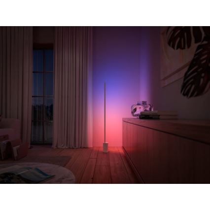 Philips - Candeeiro de chão LED RGBW com regulação Hue SIGNE LED/29W/230V 2000-6500K branco