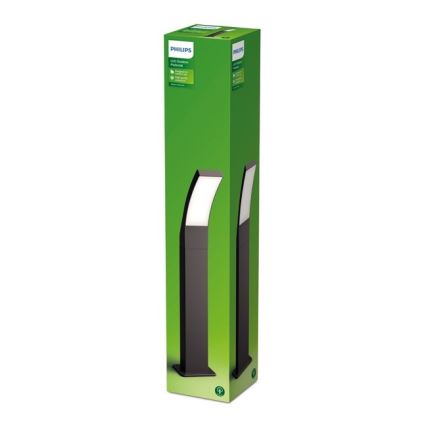 Philips - Candeeiro exterior LED LED/12W/230V 2700K 60 cm IP44