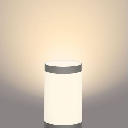 Philips - Candeeiro exterior LED GARDENLINK LED/6W/12V 2700K IP44
