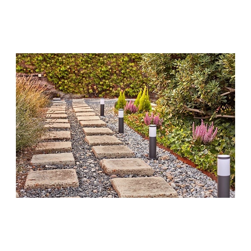 Philips - Candeeiro exterior LED GARDENLINK LED/24W/230V 2700K IP44