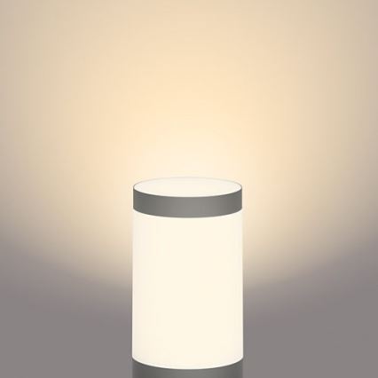 Philips - Candeeiro exterior LED GARDENLINK LED/24W/230V 2700K IP44