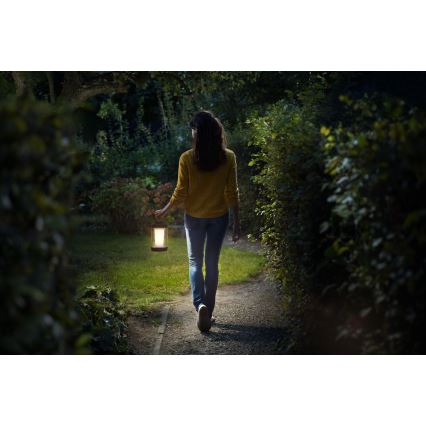 Philips - Candeeiro portátil LED com regulação CICERO LED/6W/5V IP54