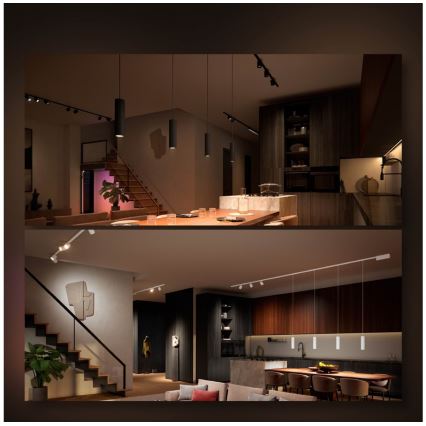 Philips - Candelabro suspenso para sistema de carril LED RGB com regulação Hue PERIFO LED RGB/5,2W/24V 2000-6500K