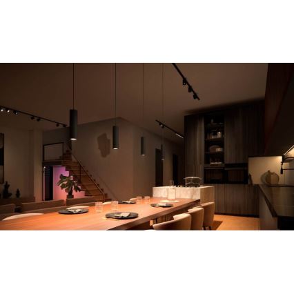 Philips - Candelabro suspenso para sistema de carril LED RGB com regulação Hue PERIFO LED RGB/5,2W/24V 2000-6500K