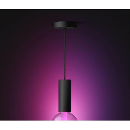Philips - Candelabro suspenso Hue GUIDE 1xE27/60W/230V
