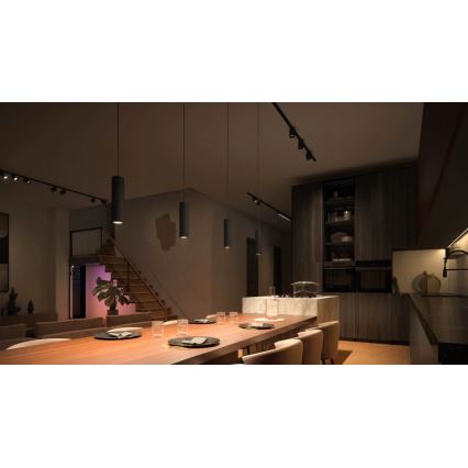 Philips - CONJUNTO 3x Candelabro suspenso para sistema de carril LED RGBW com regulação Hue PERIFO LED/15,6W/230V 2000-6500K