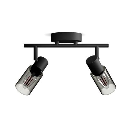 Philips - Foco PALMS 2xE14/25W/230V