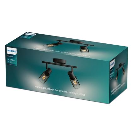 Philips - Foco PALMS 2xE14/25W/230V