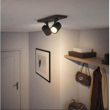 Philips - Foco RUNNER 2xGU10/20W/230V preto