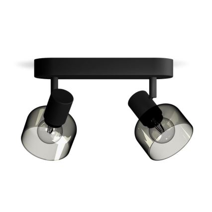 Philips - Foco SLEET 2xE14/25W/230V