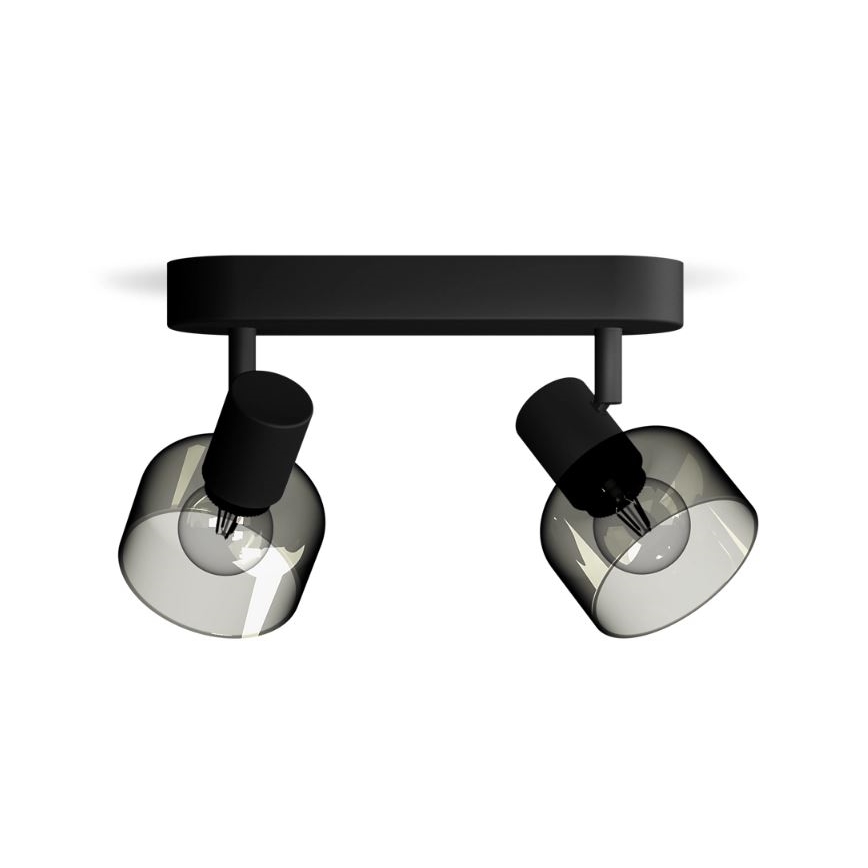 Philips - Foco SLEET 2xE14/25W/230V