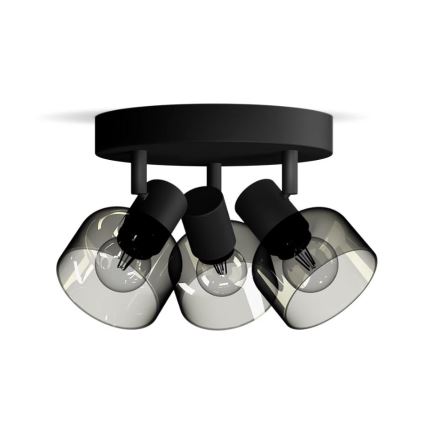 Philips - Foco SLEET 3xE14/25W/230V