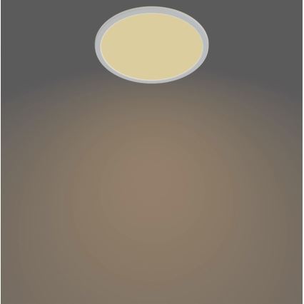 Philips - Iluminação de teto de casa de banho LED com regulação SCENE SWITCH LED/15W/230V IP44