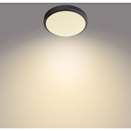 Philips - Iluminação de teto de casa de banho LED DORIS LED/6W/230V IP44