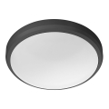 Philips - Iluminação de teto de casa de banho LED LED/6W/230V 4000K IP54 preta