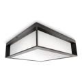 Philips - Iluminação de teto exterior SKIES 2xE27/14W/230V IP44 antracite