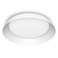 Philips - Iluminação de teto LED com regulação FLETA SCENE SWITCH LED/10W/230V 4000K branco