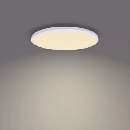 Philips - Iluminação de teto LED com regulação SCENE SWITCH LED/22W/230V diâmetro 40 cm 2700K branco