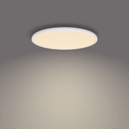 Philips - Iluminação de teto LED com regulação SCENE SWITCH LED/36W/230V diâmetro 50 cm 2700K branco