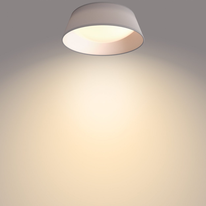 Philips - Iluminação de teto LED LED/14W/230V cinzenta