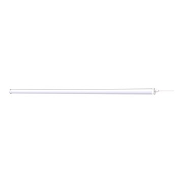 Philips - Iluminação de trabalho LED PROJECTLINE LED/54W/230V 150 cm IP65