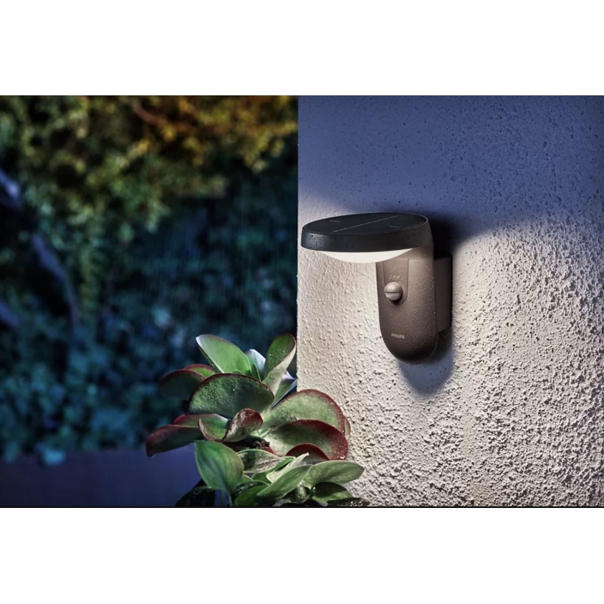 Philips - Iluminação solar de parede LED com sensor LED/1,2W/4V 1800 mAh 4000K IP44