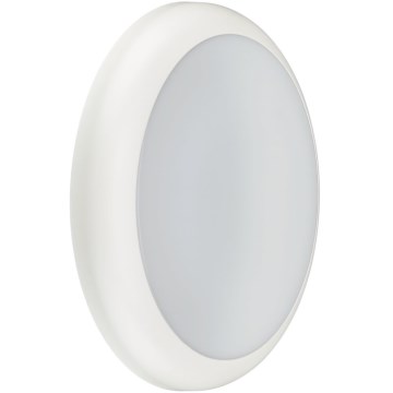 Philips - Luminária técnica LED/11/17W/230V 3000/4000/5700K diâmetro 30 cm IP65 branca