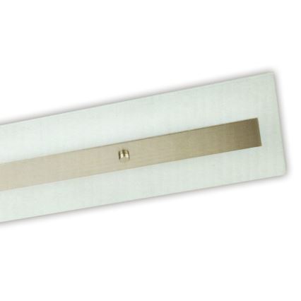 Philips Massive 85115/14/31 - Ceiling attached iluminação DECOLINE 2xG5/14W/230V