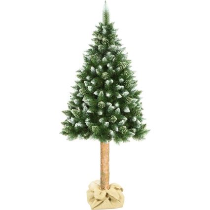 Árvore de Natal em tronco 180 cm pinheiro