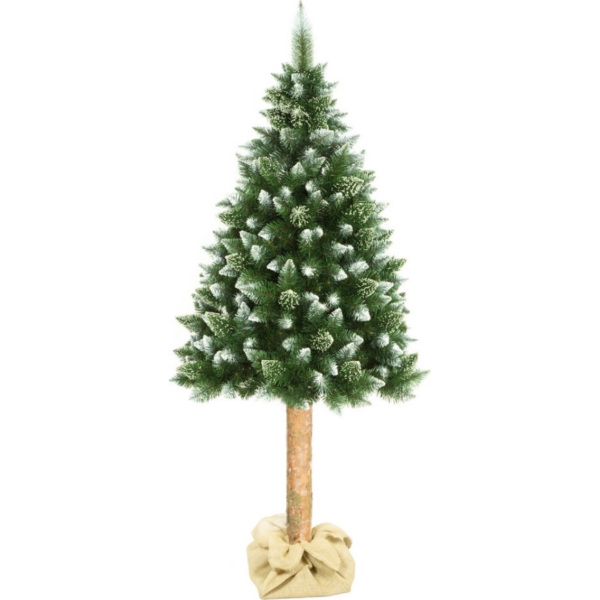 Árvore de Natal em tronco 180 cm pinheiro