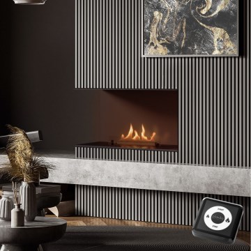 Planika - Lareira universal incorporada BIO com comando 56,2x75 cm 2,5kW/230V
