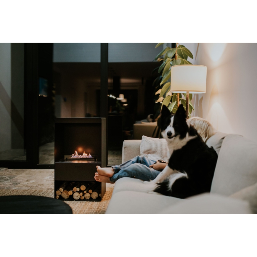 Planika - Lareira BIO com comando 83,5x48 cm 2,5kW/230V preto