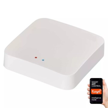 Portal inteligente GoSmart ZigBee 3.0 5V Wi-Fi