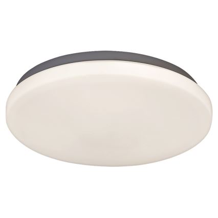 Rabalux - Iluminação de teto LED 1xLED/20W/230V diâmetro 29 cm