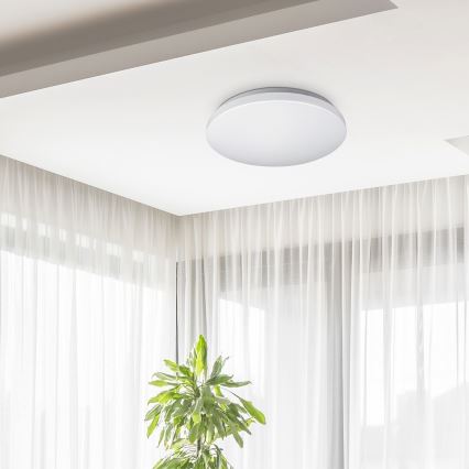 Rabalux - Luz de teto LED 1xLED/32W/230V