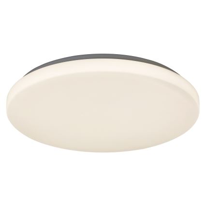 Rabalux - Luz de teto LED 1xLED/32W/230V