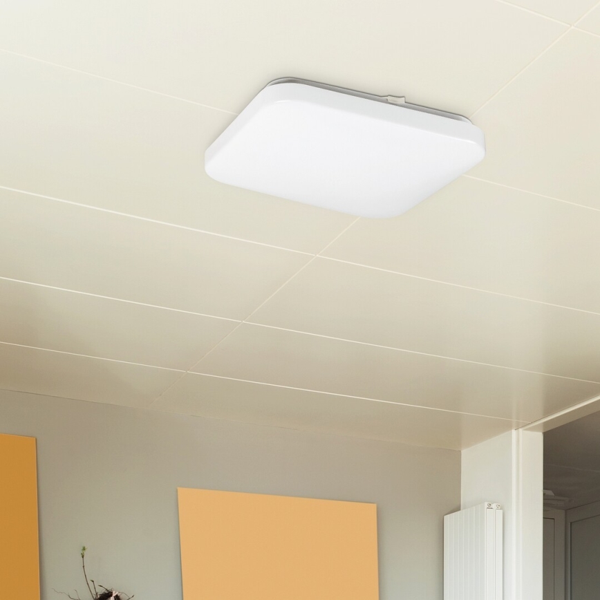 Rabalux - Luz de teto LED 1xLED/20W/230V